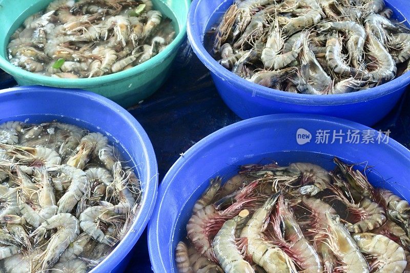 在印度南部喀拉拉邦的科钦/科钦，新鲜捕获的对虾在印度鱼和海鲜市场的摊位上，王虾、海螯虾和虾在冰水中出售